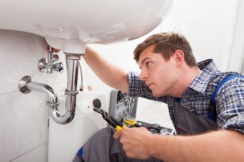 Spring Plumbing Inspection